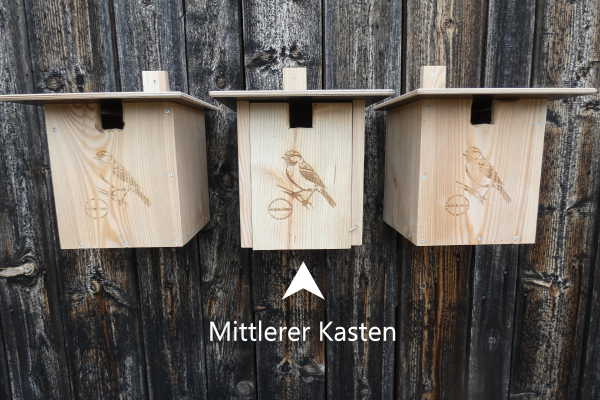 Spatzenhaus Reihenhaus Mittleres Haus